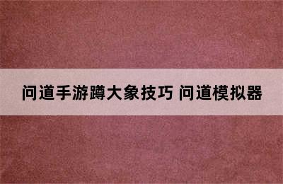 问道手游蹲大象技巧 问道模拟器